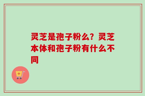 灵芝是孢子粉么？灵芝本体和孢子粉有什么不同