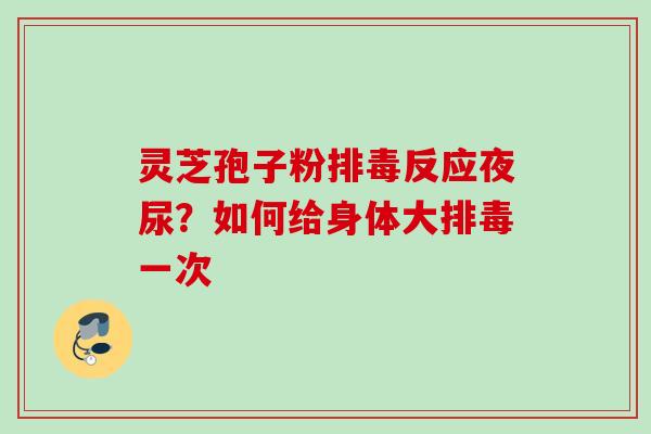 灵芝孢子粉排毒反应夜尿？如何给身体大排毒一次