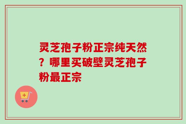 灵芝孢子粉正宗纯天然？哪里买破壁灵芝孢子粉最正宗