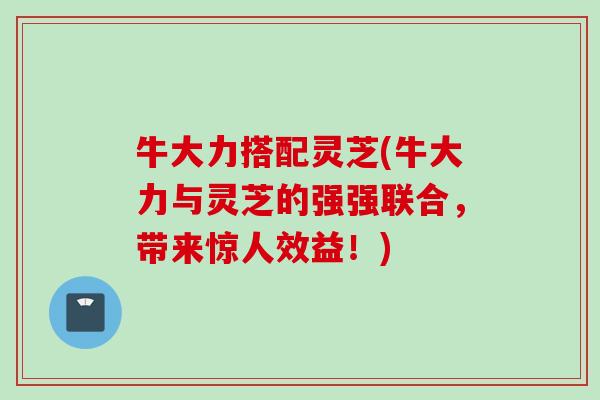牛大力搭配灵芝(牛大力与灵芝的强强联合，带来惊人效益！)