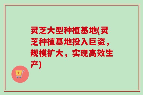 灵芝大型种植基地(灵芝种植基地投入巨资，规模扩大，实现高效生产)