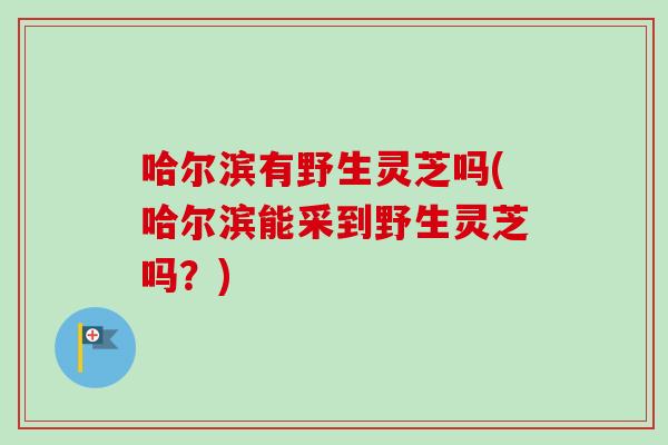 哈尔滨有野生灵芝吗(哈尔滨能采到野生灵芝吗？)