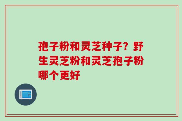 孢子粉和灵芝种子?野生灵芝粉和灵芝孢子粉哪个更好 孢子粉和灵芝种子?野生灵芝粉和灵芝孢子粉哪个更好