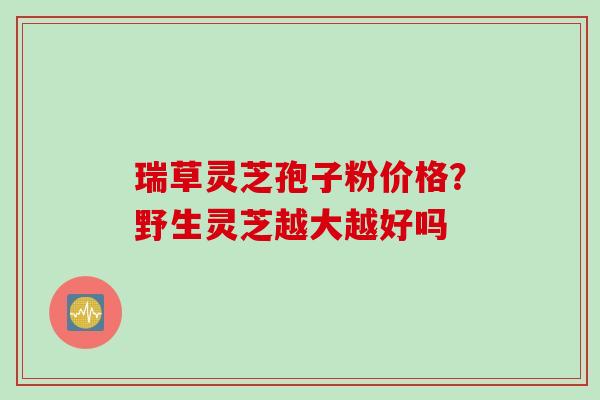 瑞草灵芝孢子粉价格？野生灵芝越大越好吗
