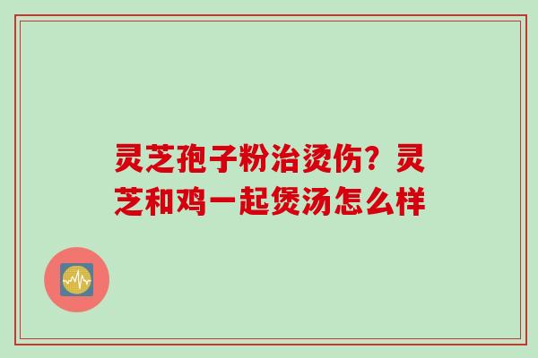 灵芝孢子粉治烫伤？灵芝和鸡一起煲汤怎么样