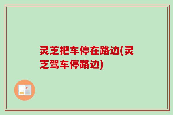 灵芝把车停在路边(灵芝驾车停路边)