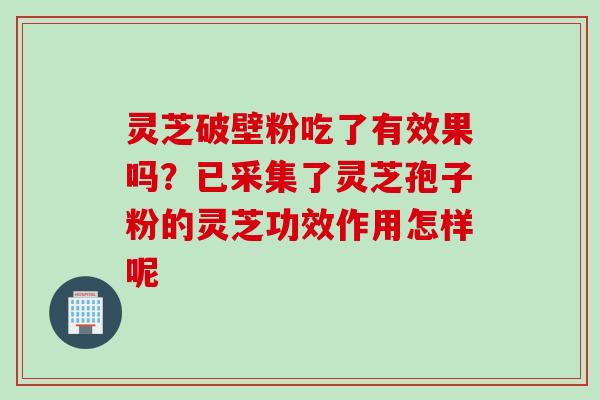 灵芝破壁粉吃了有效果吗？已采集了灵芝孢子粉的灵芝功效作用怎样呢