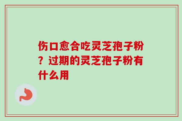 伤口愈合吃灵芝孢子粉？过期的灵芝孢子粉有什么用