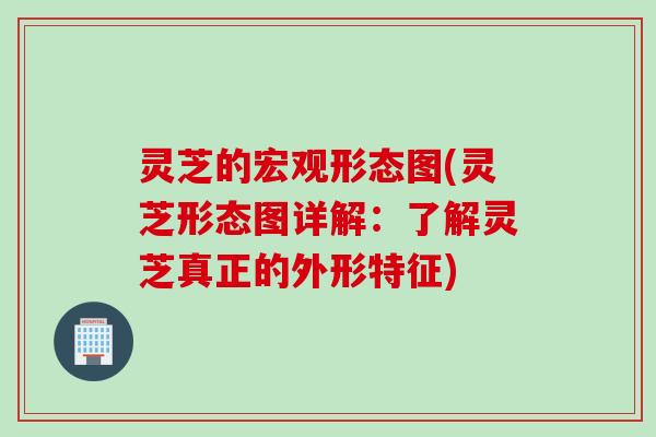 灵芝的宏观形态图(灵芝形态图详解：了解灵芝真正的外形特征)