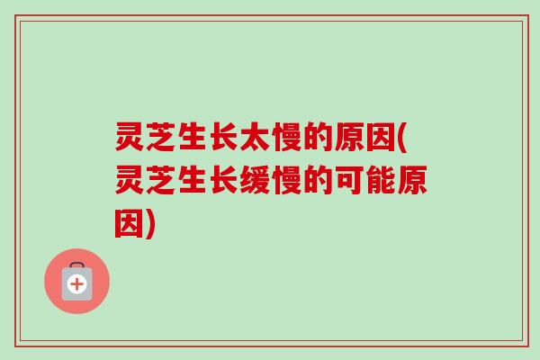 灵芝生长太慢的原因(灵芝生长缓慢的可能原因)