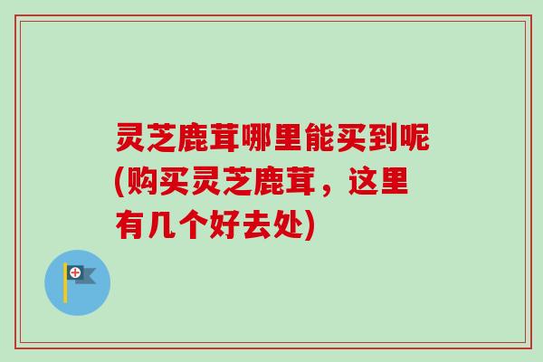 灵芝鹿茸哪里能买到呢(购买灵芝鹿茸，这里有几个好去处)
