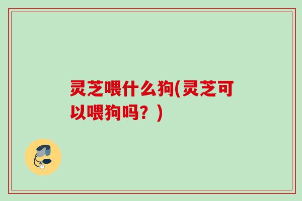 灵芝喂什么狗(灵芝可以喂狗吗？)