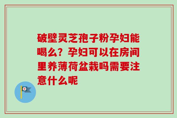 破壁灵芝孢子粉孕妇能喝么？孕妇可以在房间里养薄荷盆栽吗需要注意什么呢