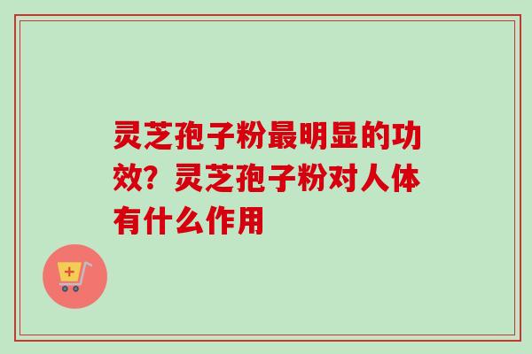 灵芝孢子粉最明显的功效？灵芝孢子粉对人体有什么作用