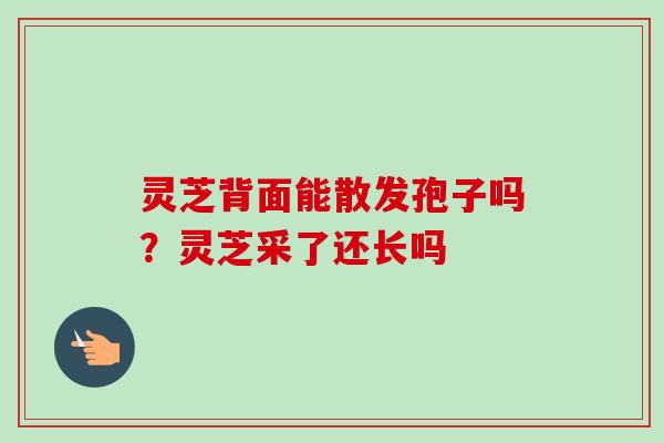 灵芝背面能散发孢子吗？灵芝采了还长吗