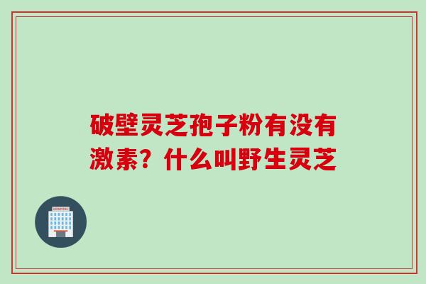 破壁灵芝孢子粉有没有激素？什么叫野生灵芝