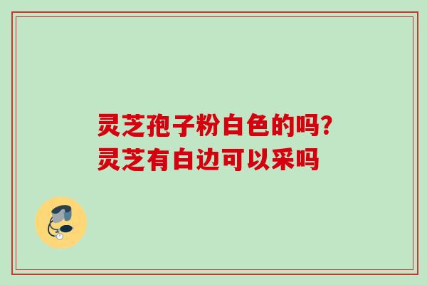 灵芝孢子粉白色的吗？灵芝有白边可以采吗