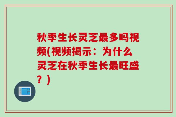 秋季生长灵芝最多吗视频(视频揭示：为什么灵芝在秋季生长最旺盛？)