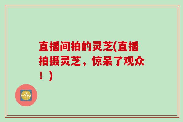 直播间拍的灵芝(直播拍摄灵芝，惊呆了观众！)