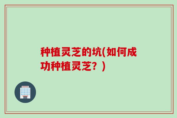 种植灵芝的坑(如何成功种植灵芝？)