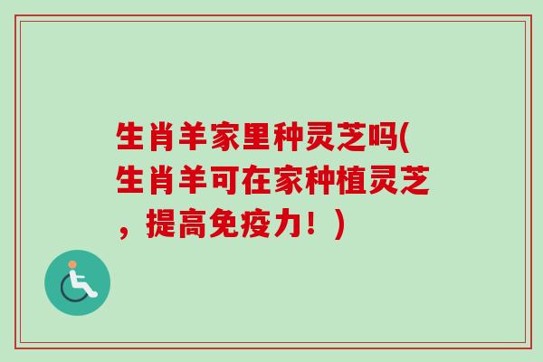 生肖羊家里种灵芝吗(生肖羊可在家种植灵芝，提高免疫力！)