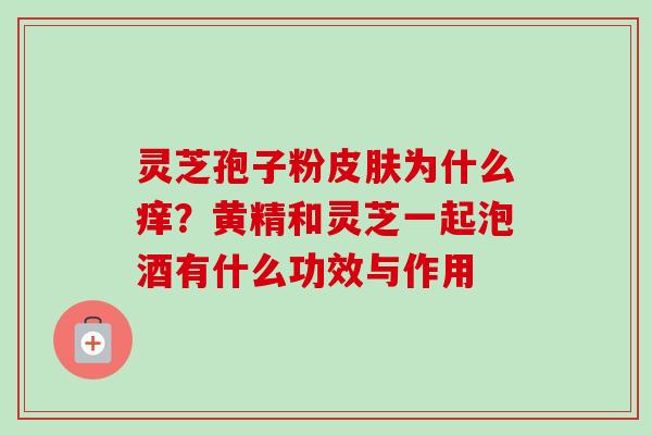 灵芝孢子粉皮肤为什么痒？黄精和灵芝一起泡酒有什么功效与作用