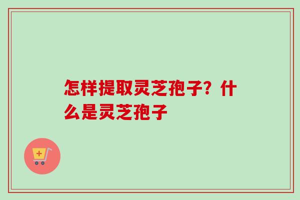 怎样提取灵芝孢子？什么是灵芝孢子