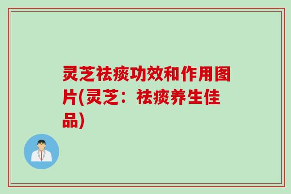 灵芝祛痰功效和作用图片(灵芝：祛痰养生佳品)