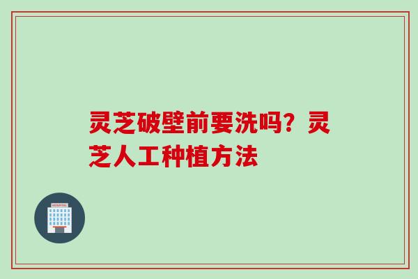 灵芝破壁前要洗吗？灵芝人工种植方法