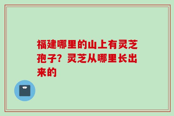 福建哪里的山上有灵芝孢子？灵芝从哪里长出来的