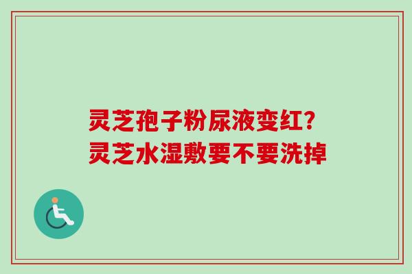 灵芝孢子粉尿液变红？灵芝水湿敷要不要洗掉