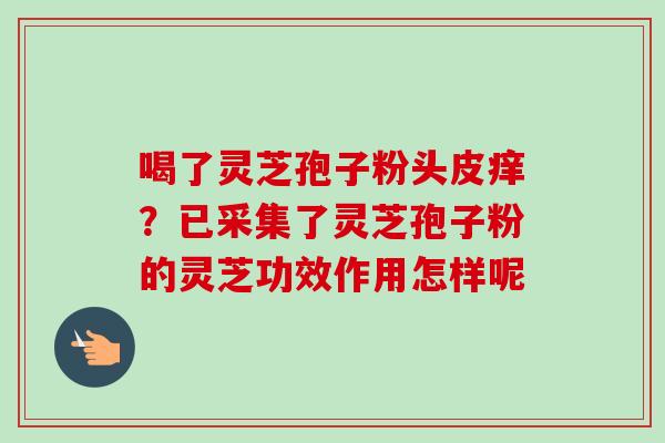 喝了灵芝孢子粉头皮痒？已采集了灵芝孢子粉的灵芝功效作用怎样呢