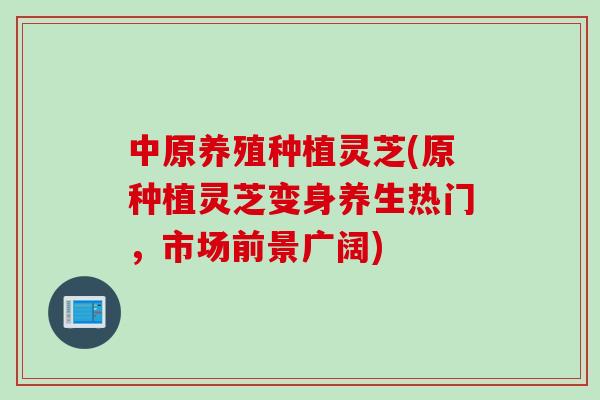 中原养殖种植灵芝(原种植灵芝变身养生热门，市场前景广阔)