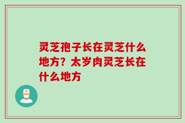 灵芝孢子长在灵芝什么地方？太岁肉灵芝长在什么地方