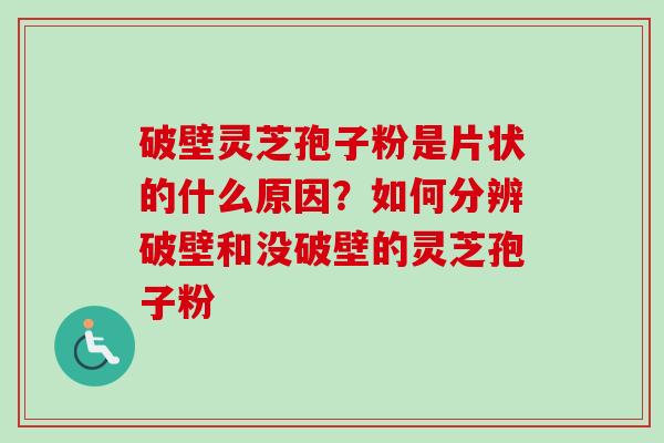 破壁灵芝孢子粉是片状的什么原因？如何分辨破壁和没破壁的灵芝孢子粉