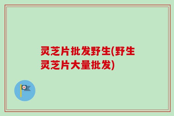灵芝片批发野生(野生灵芝片大量批发)
