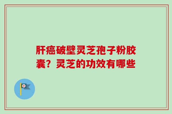 肝癌破壁灵芝孢子粉胶囊？灵芝的功效有哪些