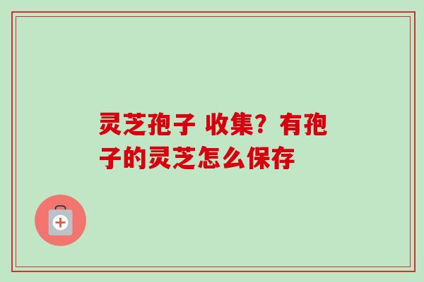 灵芝孢子 收集？有孢子的灵芝怎么保存