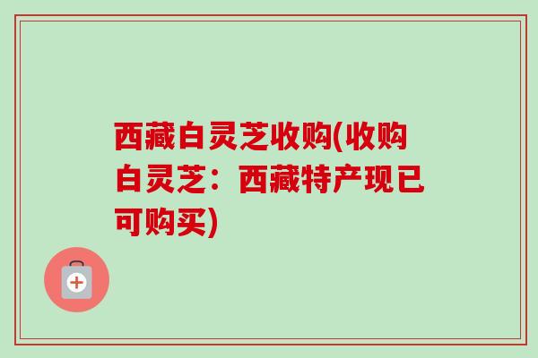 西藏白灵芝收购(收购白灵芝：西藏特产现已可购买)