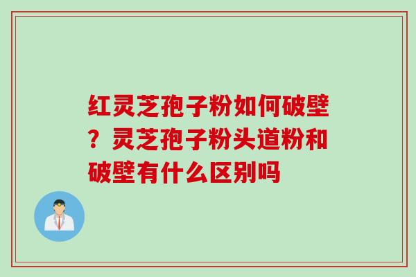 红灵芝孢子粉如何破壁？灵芝孢子粉头道粉和破壁有什么区别吗