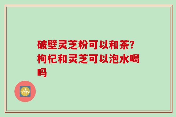 破壁灵芝粉可以和茶？枸杞和灵芝可以泡水喝吗