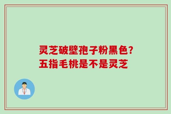 灵芝破壁孢子粉黑色？五指毛桃是不是灵芝