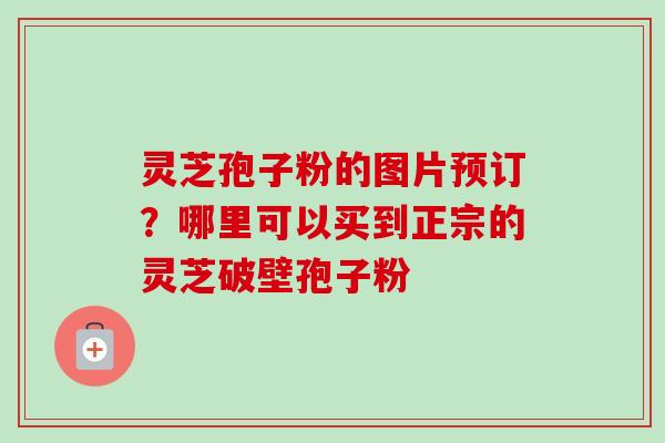 灵芝孢子粉的图片预订？哪里可以买到正宗的灵芝破壁孢子粉