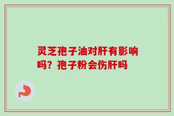 灵芝孢子油对肝有影响吗？孢子粉会伤肝吗