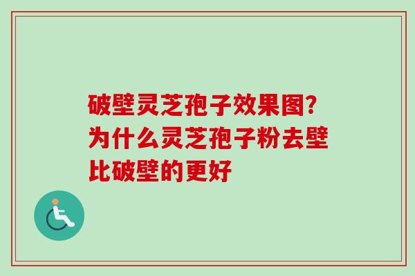 破壁灵芝孢子效果图？为什么灵芝孢子粉去壁比破壁的更好