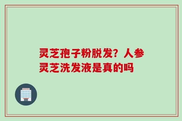 灵芝孢子粉脱发？人参灵芝洗发液是真的吗