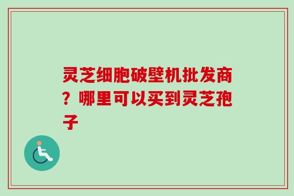 灵芝细胞破壁机批发商？哪里可以买到灵芝孢子