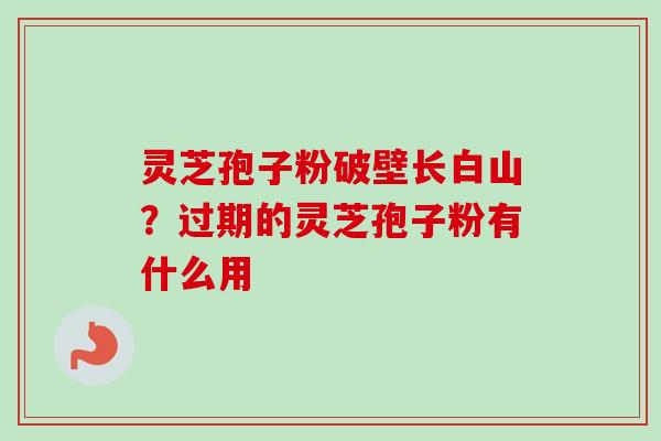 灵芝孢子粉破壁长白山？过期的灵芝孢子粉有什么用