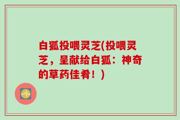白狐投喂灵芝(投喂灵芝，呈献给白狐：神奇的草药佳肴！)