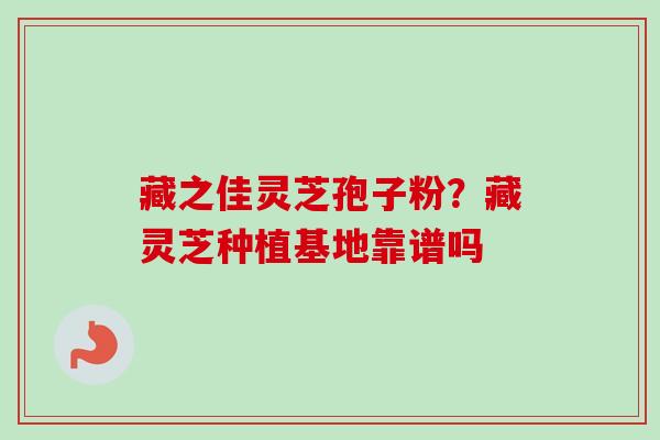 藏之佳灵芝孢子粉？藏灵芝种植基地靠谱吗